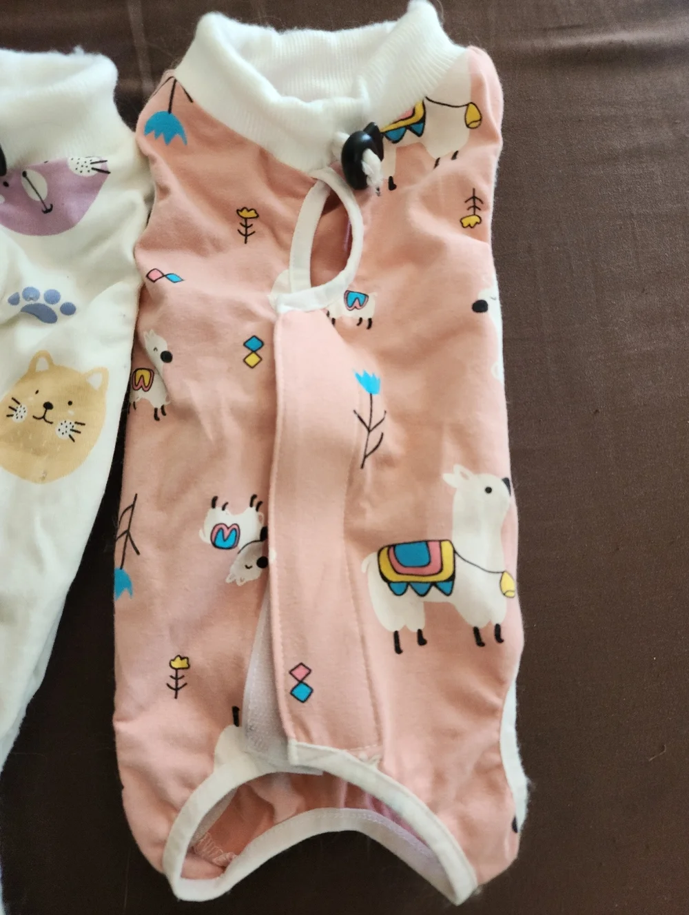 2 Female Kitten Spay Suit For Surgery Recovery